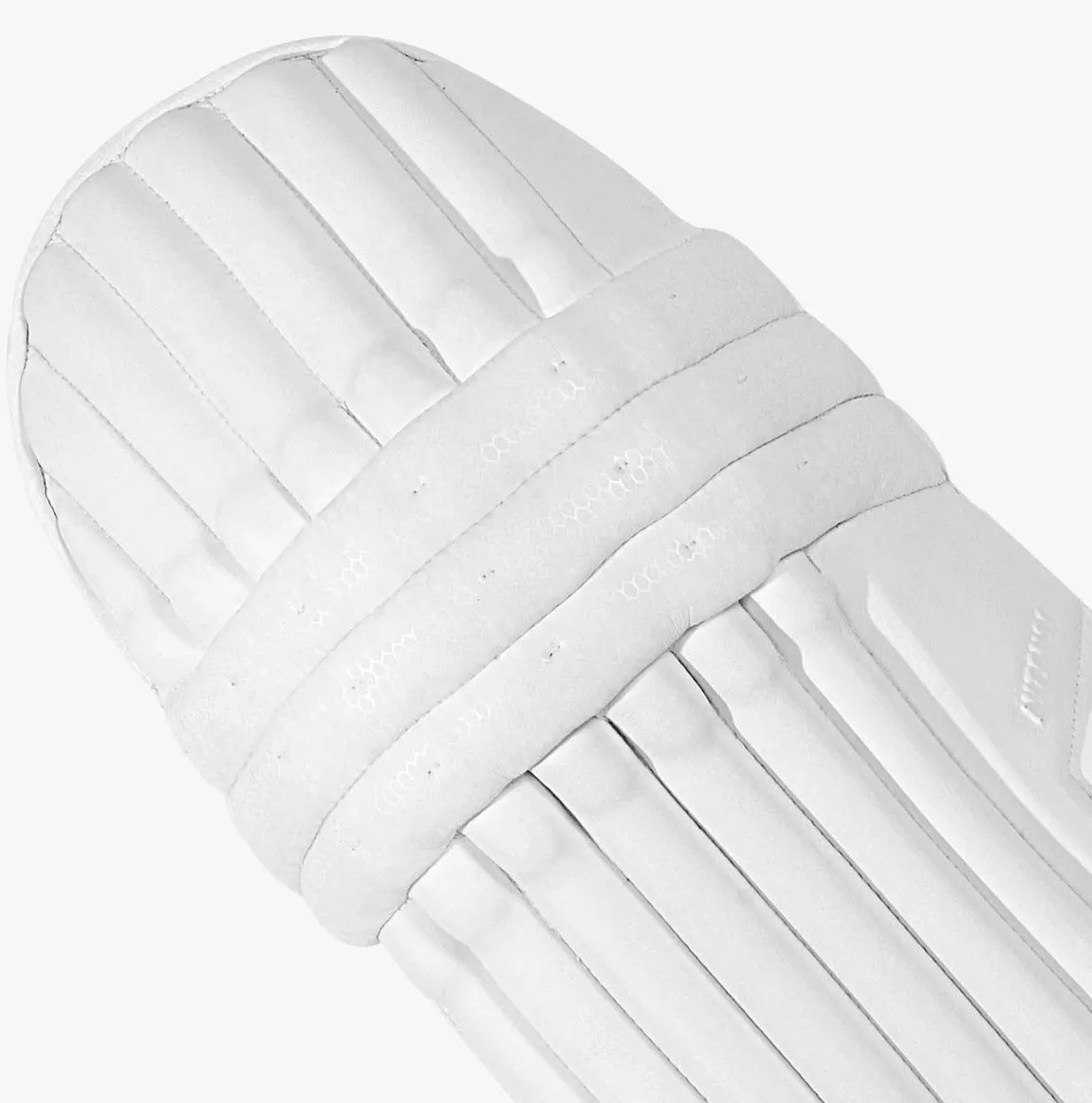 DSC Intense Players Batting Pads